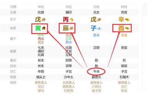 學習八字|小白也能看懂的“八字”入門教學！